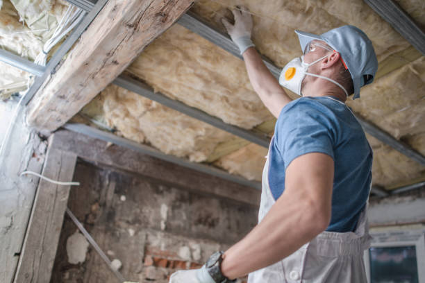 Best Insulation Materials and Products in Freeport, IL
